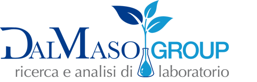 Logo Dal Maso Group