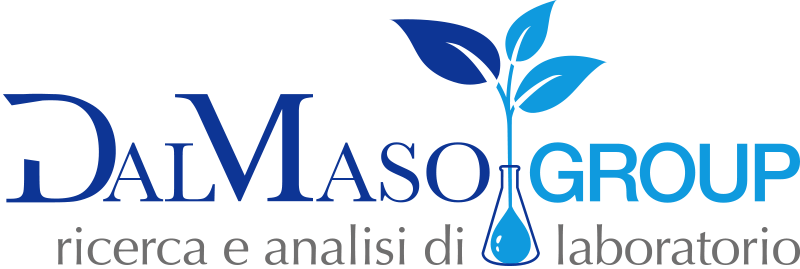 Dal Maso Group Analyselabor